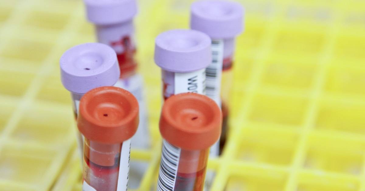 Impact of Technology on Construction Finance